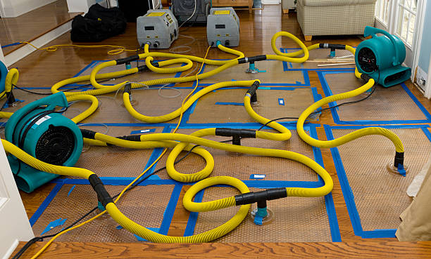 Professional Crawl Space Water Removal technician working in Corcoran, MN